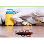 cockroaches-pest-control-service