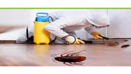 cockroaches-pest-control-service