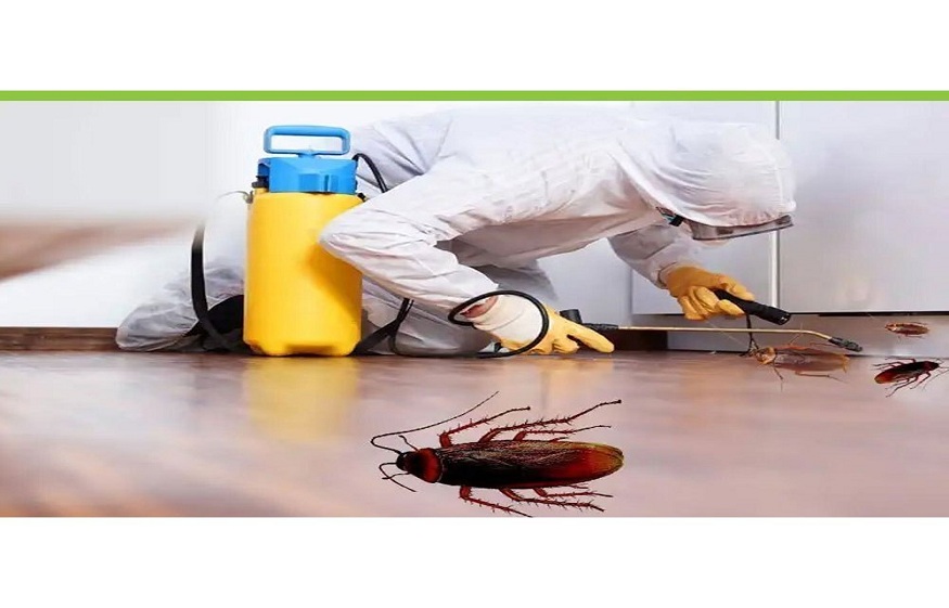 cockroaches-pest-control-service